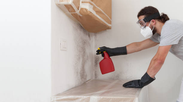 Professional Mold Remediation technician working in Maynard, MA